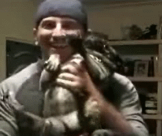Autors: nonie Gif gif gif