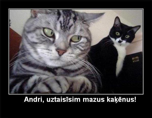 Autors: kreksss Dažādi melnie /1/