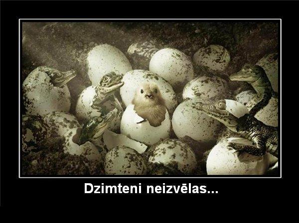 Autors: kreksss Dažādi melnie /1/
