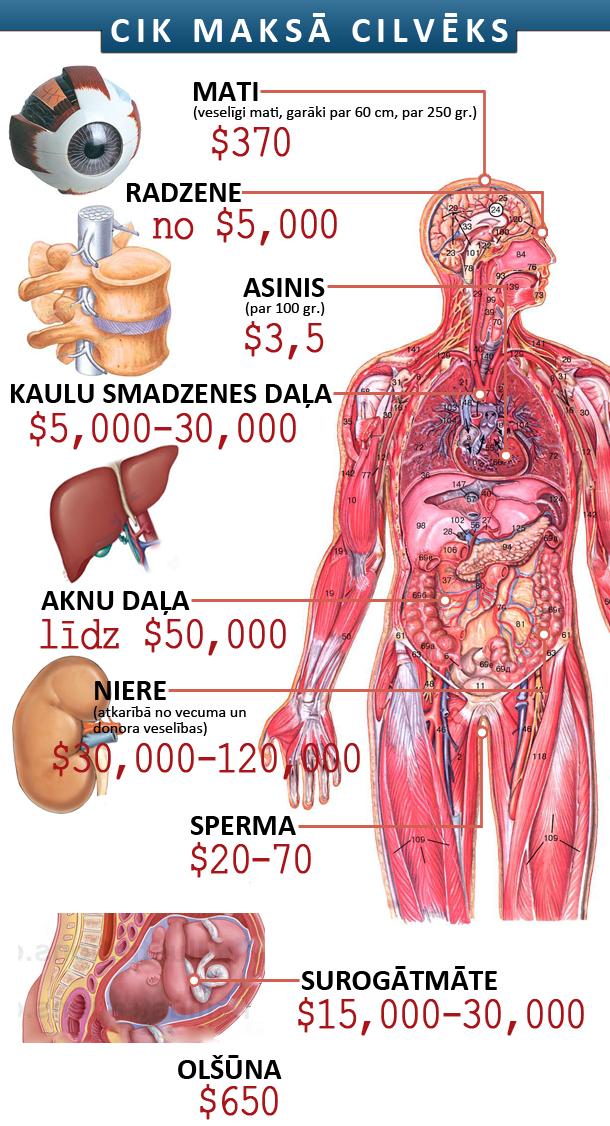 Autors: fergusons Cik maksā cilvēks?