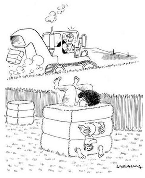 Autors: zirnekļcūks Cartoon Pictures 12