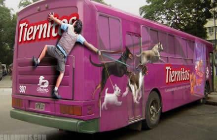 Autors: Politikānis Stilīgākie autobusi pasaulē!
