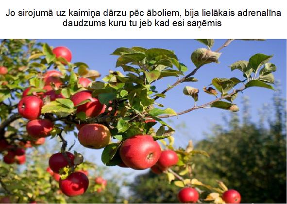 Autors: xprusaks Foršā bērnība