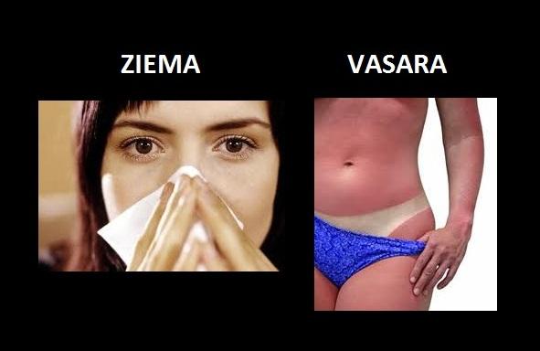 Autors: The Diāna Ziema vs vasara