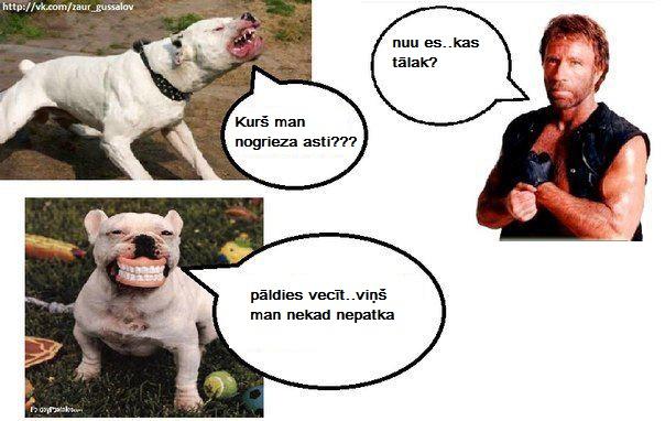 Autors: Ramekin Manis tulkoti komiksi 22