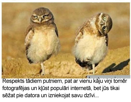 Autors: Tim3D Respekts tādiem puišiem...