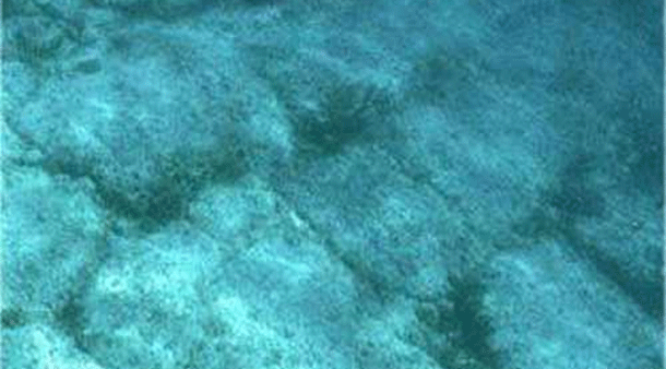 Bimini ceļscaron tika... Autors: Mūsdienu domātājs Nezāģē otru, ja nemāki triku