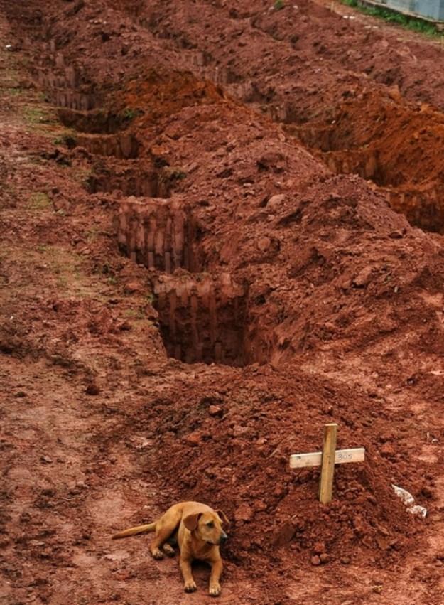 Suns vārdā Leao sēž otro... Autors: Mūsdienu domātājs 40 spēcīgākās jebkad uzņemtās fotogrāfijas