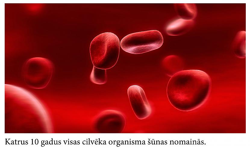 Autors: Mūsdienu domātājs Fakti, kas iedzīs tevi šokā... (2)