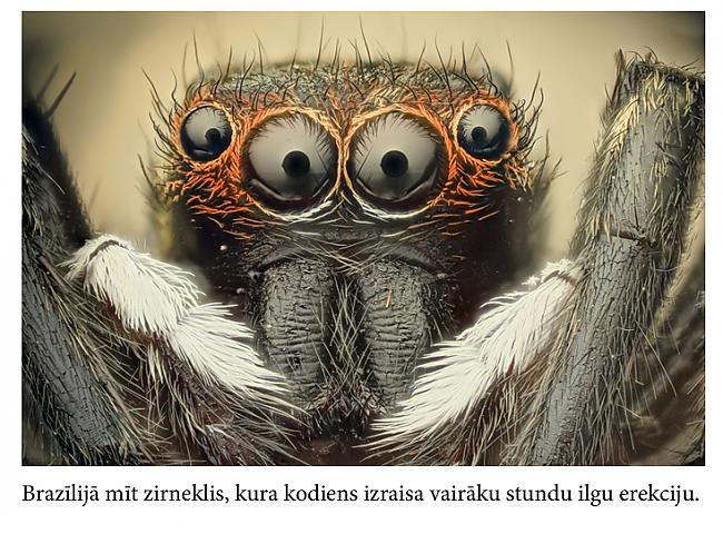 nbspnbspnbspPaldies ka... Autors: Mūsdienu domātājs Fakti, kas iedzīs tevi šokā... (2)