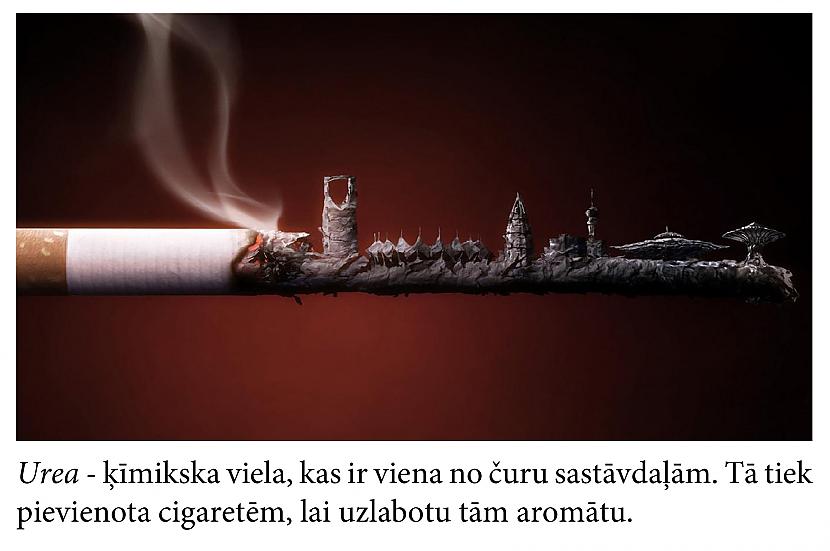 Autors: Mūsdienu domātājs Fakti, kas iedzīs tevi šokā... (3)