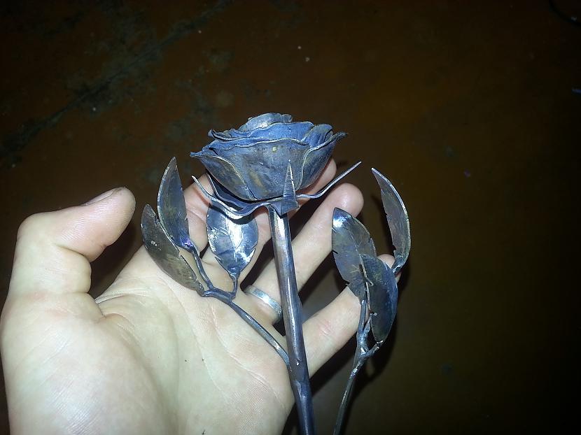 Autors: kpot Roze no metāla. Never ending rose. Metal rose hand made