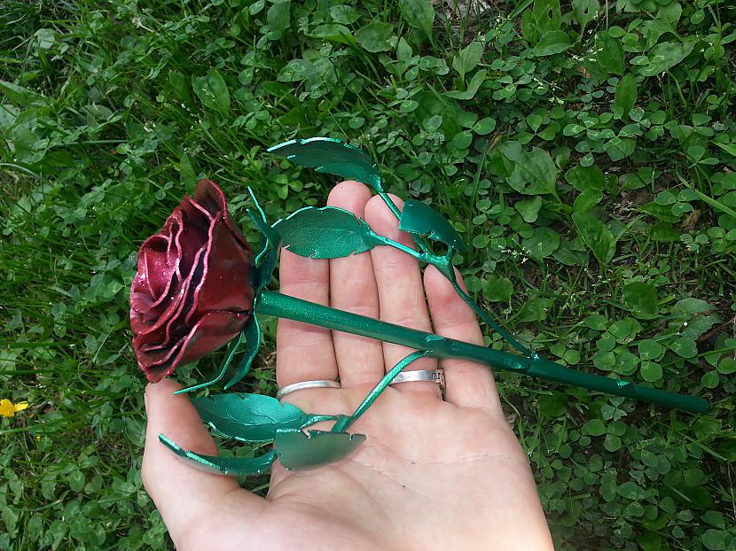 Autors: kpot Roze no metāla. Never ending rose. Metal rose hand made