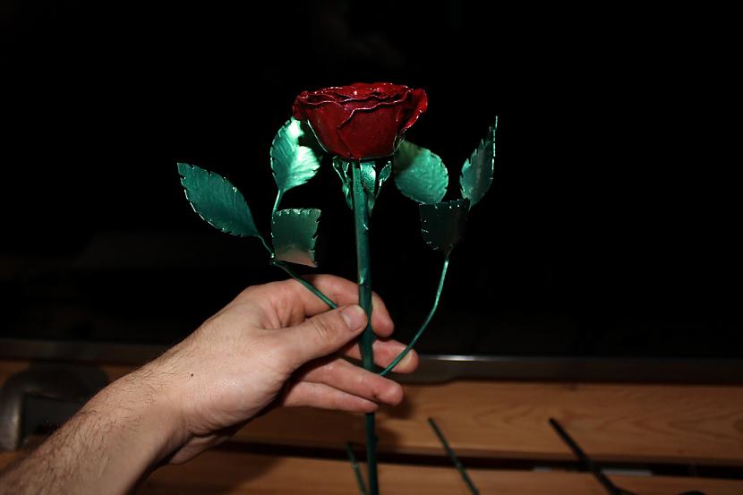 Autors: kpot Roze no metāla. Never ending rose. Metal rose hand made