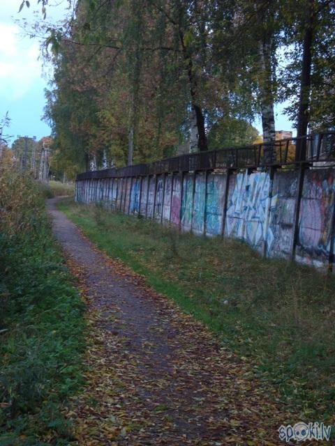 Autors: Čeirāne Sasistā dzīve (4)