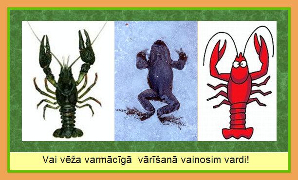 Autors: rasiks Visu vēl vērojam