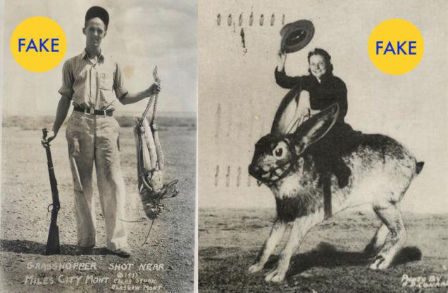 21 gadsimta sākumā Internetā... Autors: pofig Fotogrāfijas, kuras atmaskoja, ka nav īstas