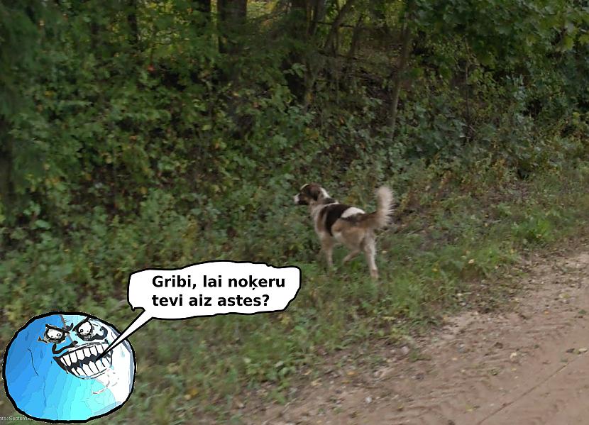 suns Autors: Strāvonis Uz Google Maps bāzētie komiski #4