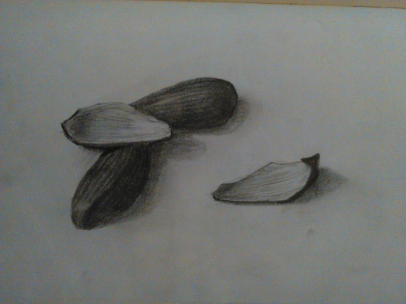 Autors: Betiite Manas skices
