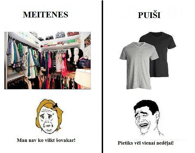  Autors: 3FckingUnicorns Meitenes vs Puiši