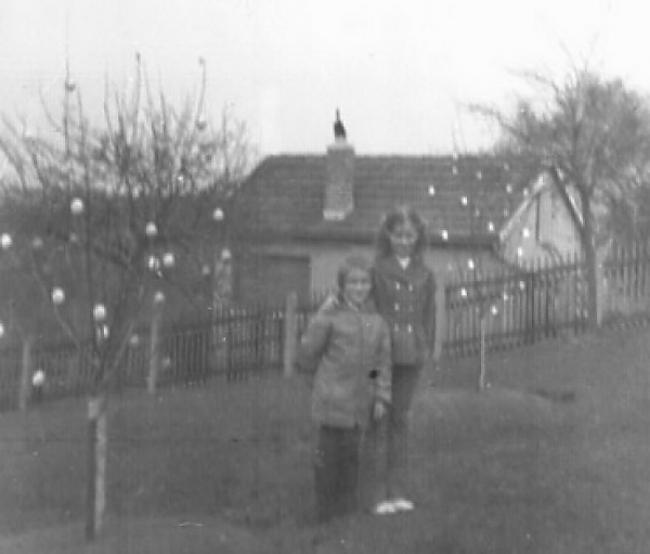 1970gads 18 olas kokā Autors: Lords Lanselots Tu tam nespēsi noticēt - 10 tūkstoši olu!!!!!!