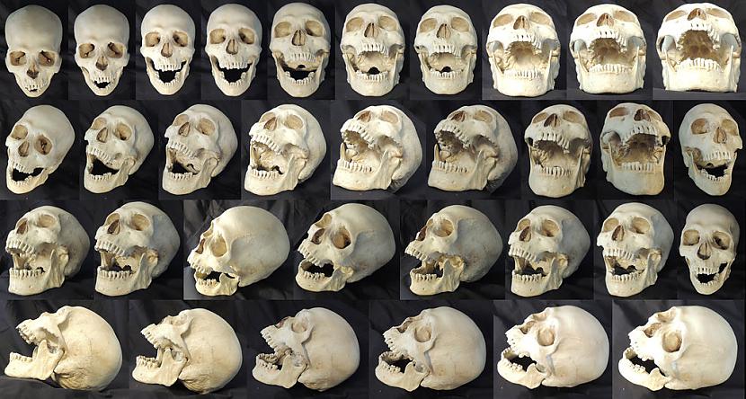 Kopscaron cilvēces... Autors: Trakais Jēgers Izglītojošas lietas par NĀVI
