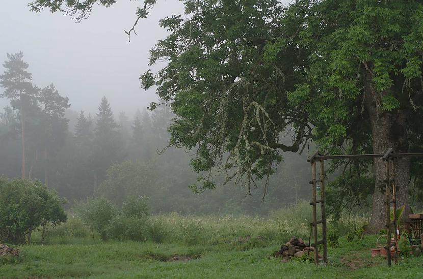 Daba Dabā centieties... Autors: Antons Austriņš Fotomākslas pamati