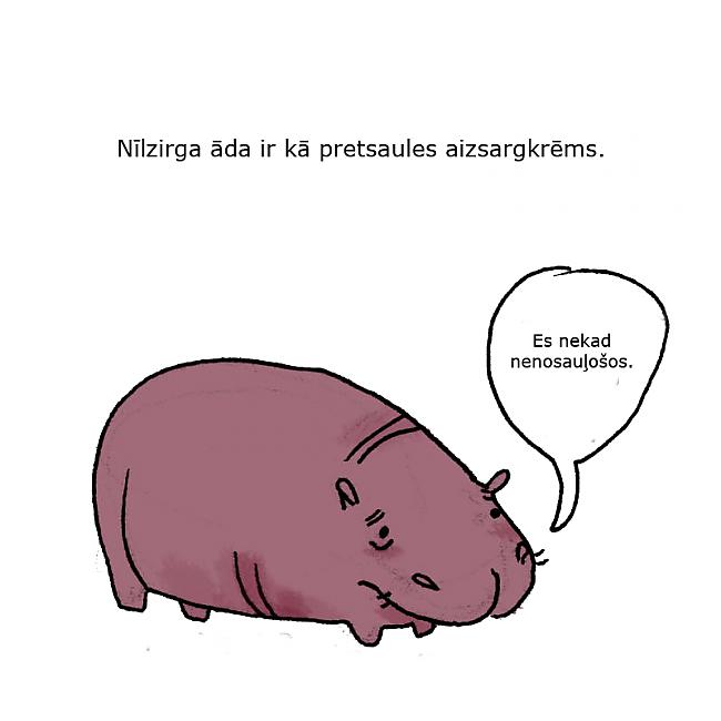 Autors: matilde 40 bēdīgi fakti par dzīvniekiem.