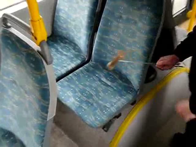 Autors: Yanara Kāpēc sabiedriskā transporta krēsliem ir tik nepievilcīgs raksts?