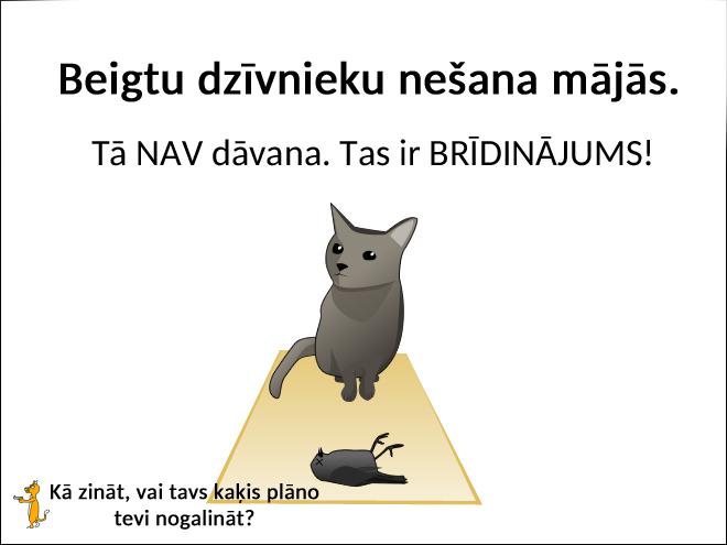 Autors: matilde Kā zināt to, vai tavs kaķis plāno tevi nogalināt?
