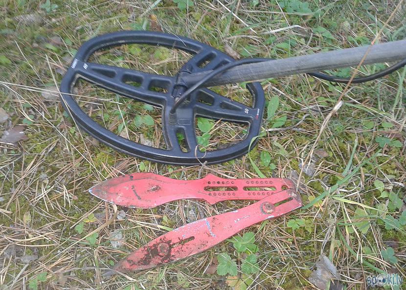 Lai cik tas paradoksāli... Autors: pyrathe Pazudušo mantu meklējumi mežā ar metāla detektoru