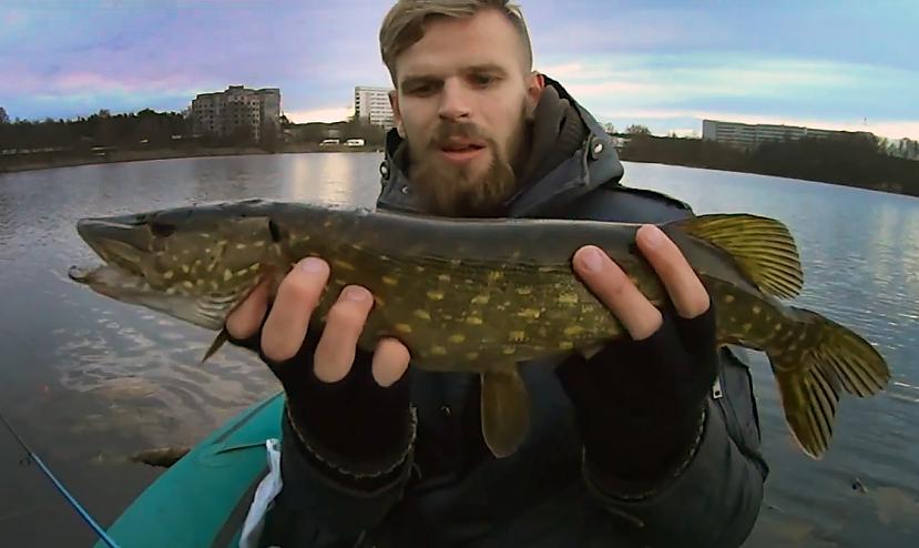 Autors: Artfilm Dabas bērns - Rudens cope (Pike fishing)