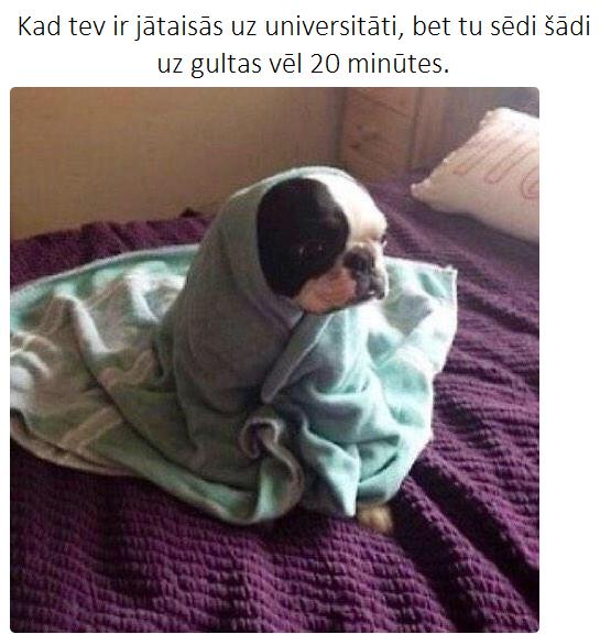 Autors: matilde Katra normāla studenta dzīve 17 attēlos. Atpazīsti sevi?