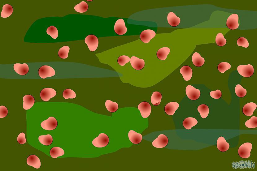 Autors: Strāvonis Brūklenes