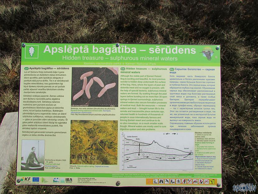 Autors: pyrathe Pastaiga pa Ķemeru tīreļa laipu taku