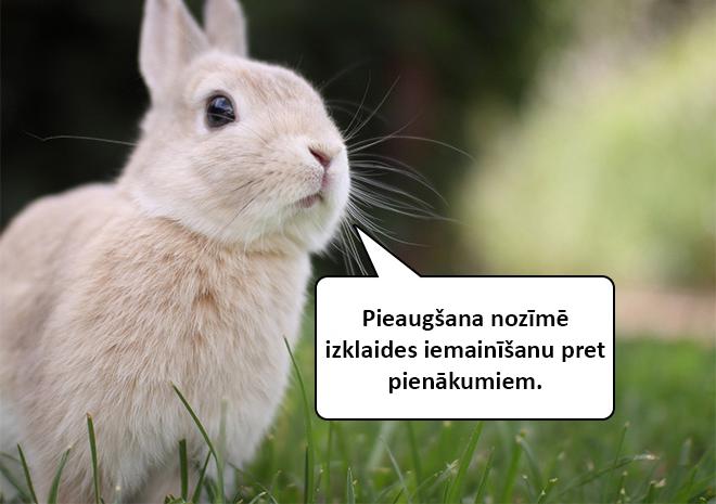 Autors: matilde Dzīvnieku mazuļi atklās tev skarbo dzīves patiesību