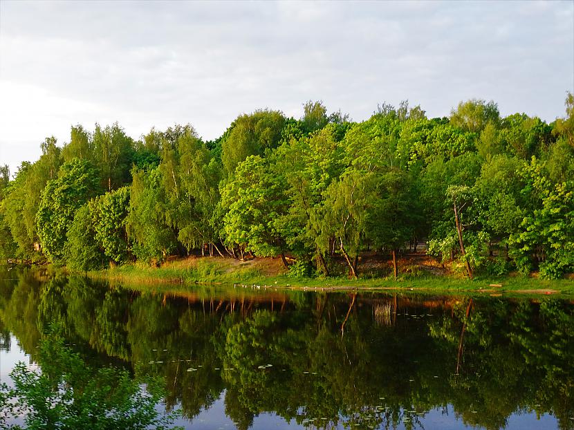 Autors: SoullesS Pēc ilgiem laikiem foto