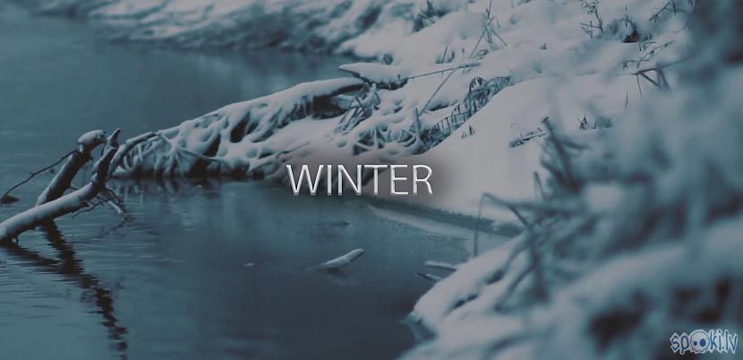 Autors: Artfilm Dabas Bērns - Latvian winter.