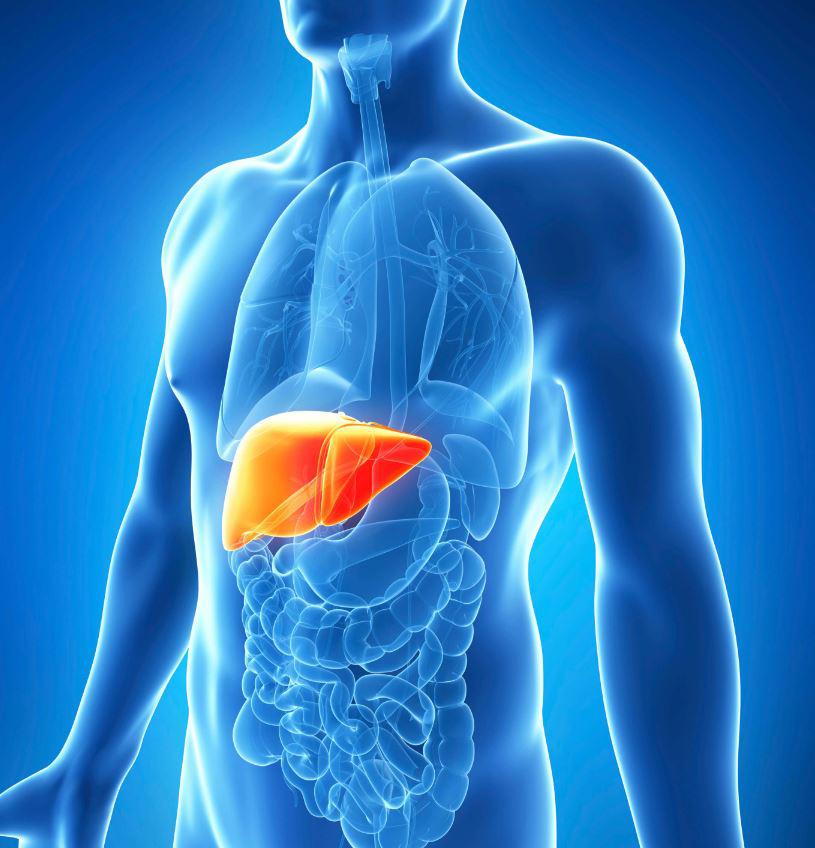 HepatītsTās ir vīrusu... Autors: Lestets Nāvējošākie vīrusi vēsturē