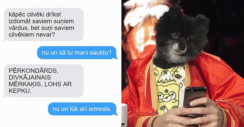 Autors: matilde 9 smieklīgas ziņas saimniekiem no suņiem