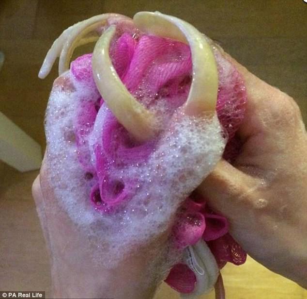 Kā apgalvo pati meitene tad... Autors: matilde Skolniece no Vācijas jau trīs gadus nav griezusi nagus un ļoti lepojas ar tiem!