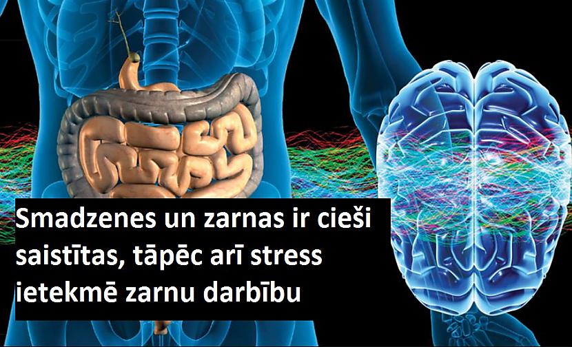Autors: Lestets 20 pārsteidzoši psiholoģiskie fakti