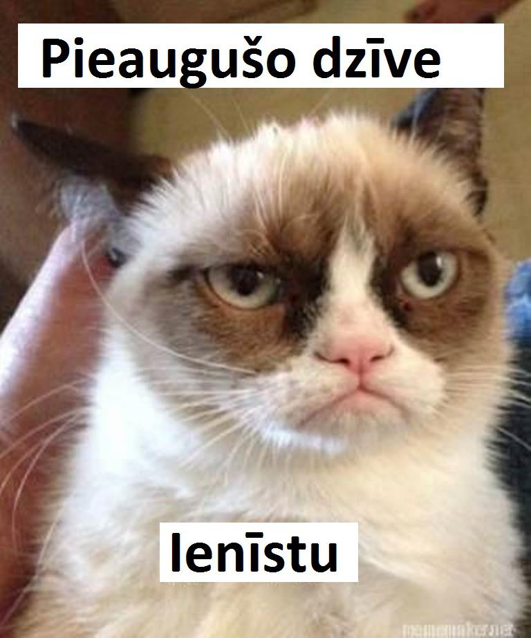 Autors: The Diāna Pieaugušo dzīve attēlos