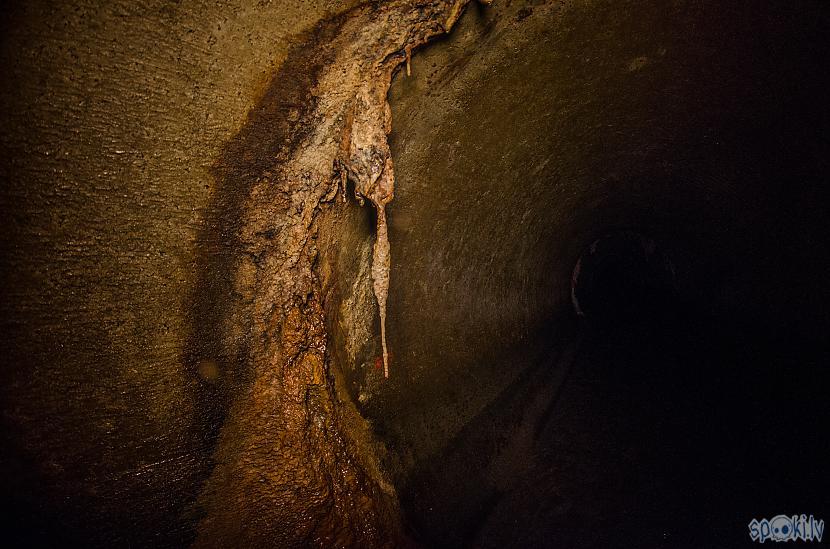 Autors: Eronymusdead Bradājums: slapjie, brūnie tuneļi