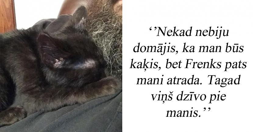 Autors: matilde 19 cilvēki, kuri ātri mainīja savas domas par mājdzīvniekiem