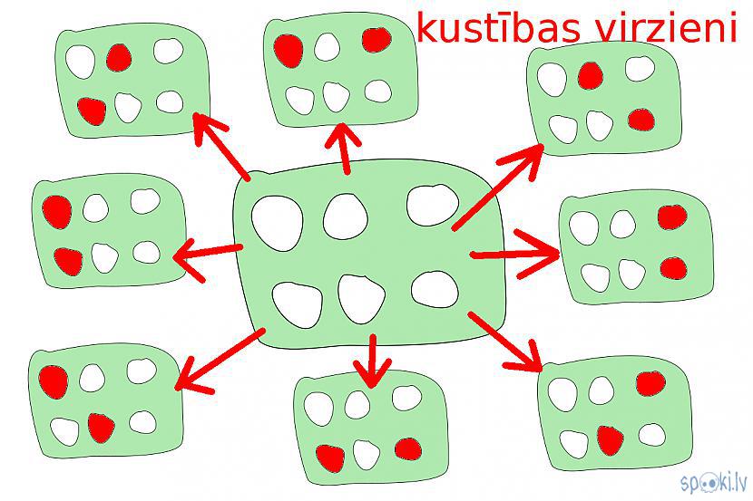 Autors: Strāvonis Mausuak kustība