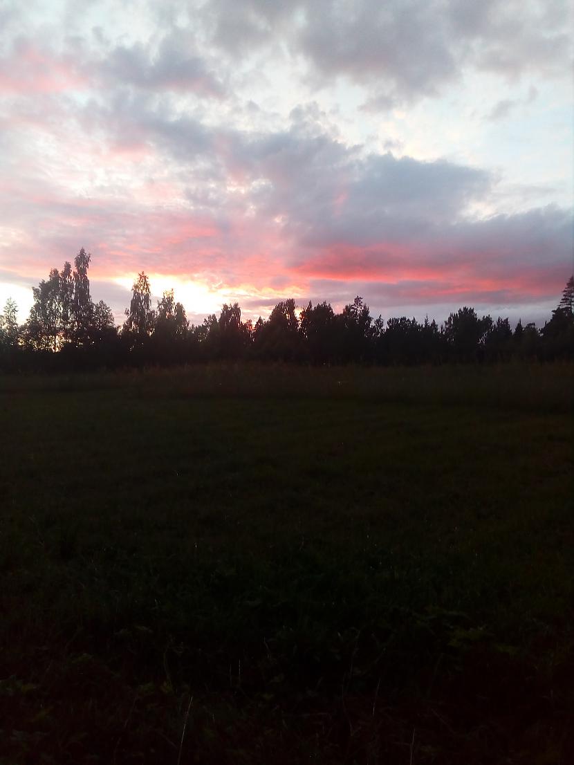Agrs rīts Autors: kiki kiki Manas fotogrāfijas, ko bildēju pati