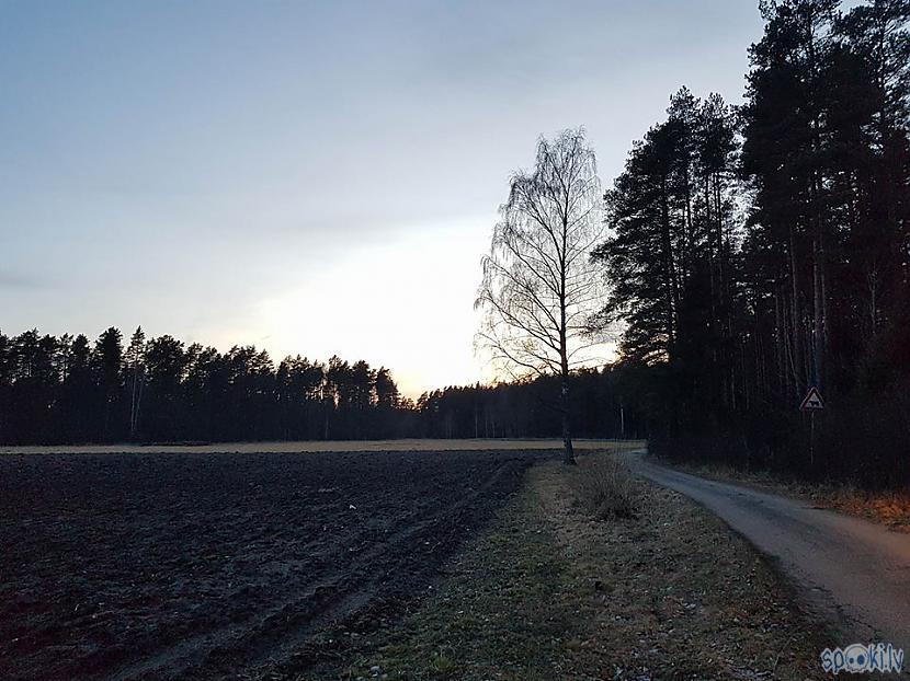 Autors: mrxblogger 5 eiro randiņš.