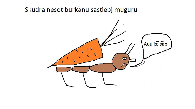 Autors: sustanon Liks aizdomāties!
