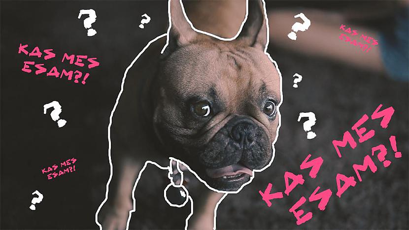 Autors: crazylatviangirls Kas mēs esam??? Crazy latvian girls!!!